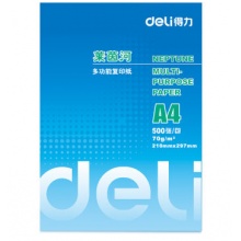 得力 萊茵河 A4 打印紙/包